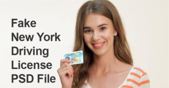download new york state drivers license template psd